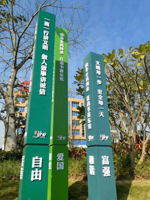 暖春文明行动 沙田提升市政道路硬件设施 助力城市品质提升